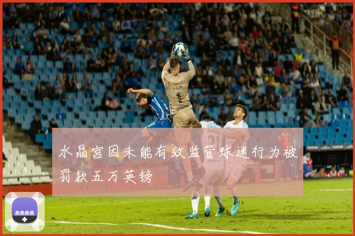 水晶宫因未能有效监管球迷行为被罚款五万英镑